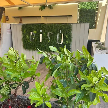 Bisu *